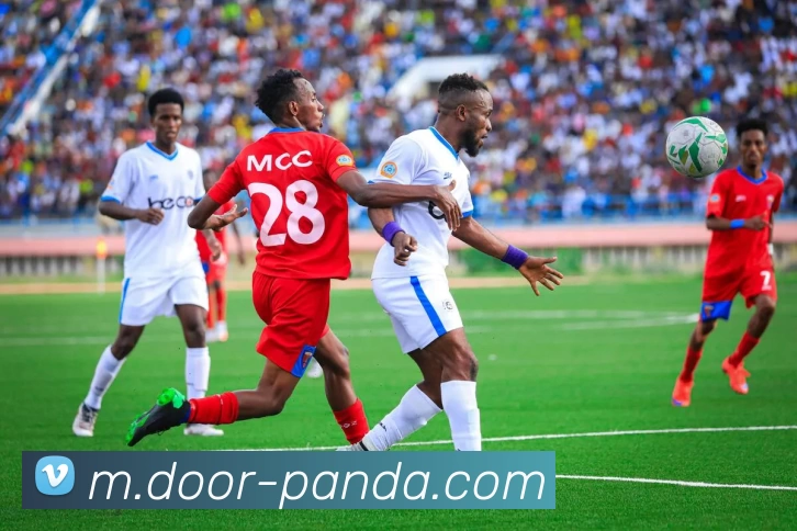 熊猫体育品牌故事